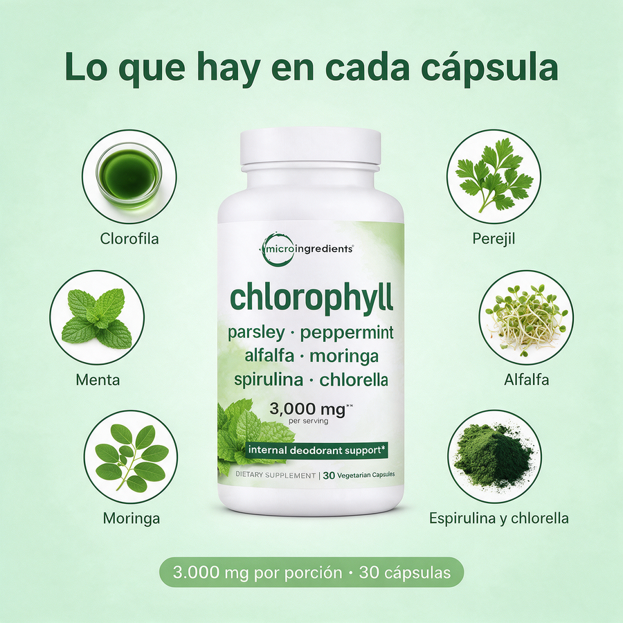 Ingredientes de Clorofila Biovitality: clorofila, perejil, menta, alfalfa, moringa, espirulina y chlorella